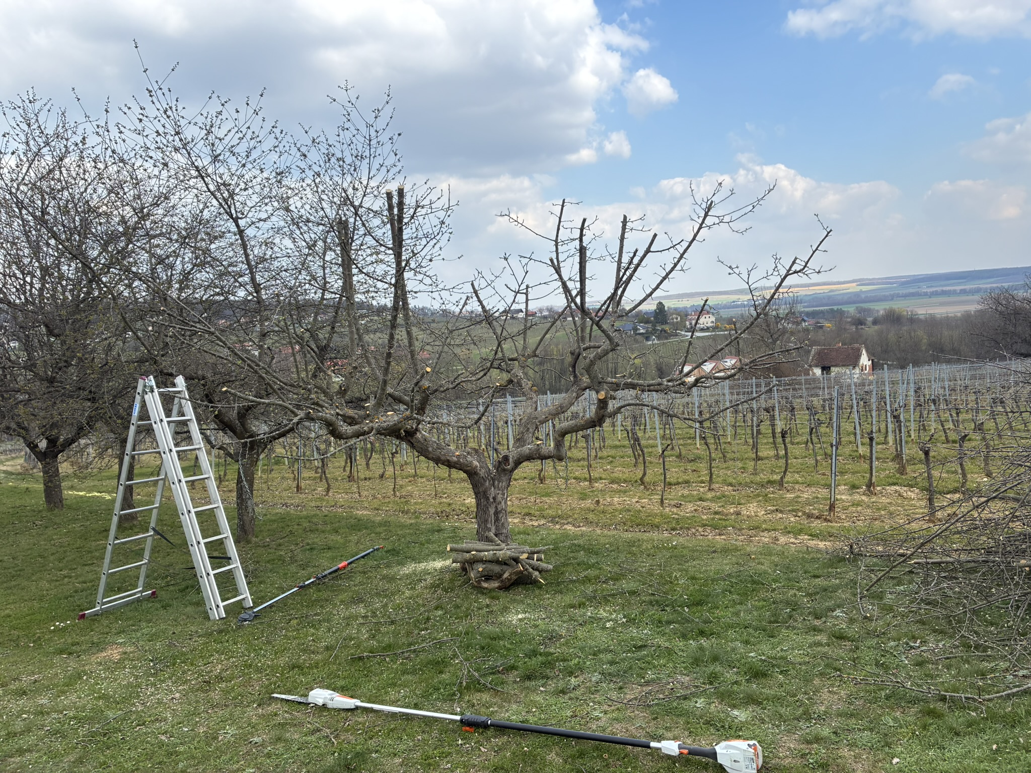 Gartenarbeit